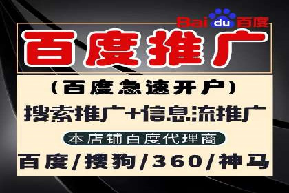 实战派经验分享：百度竞价代理成功案例揭秘